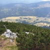 Lejla